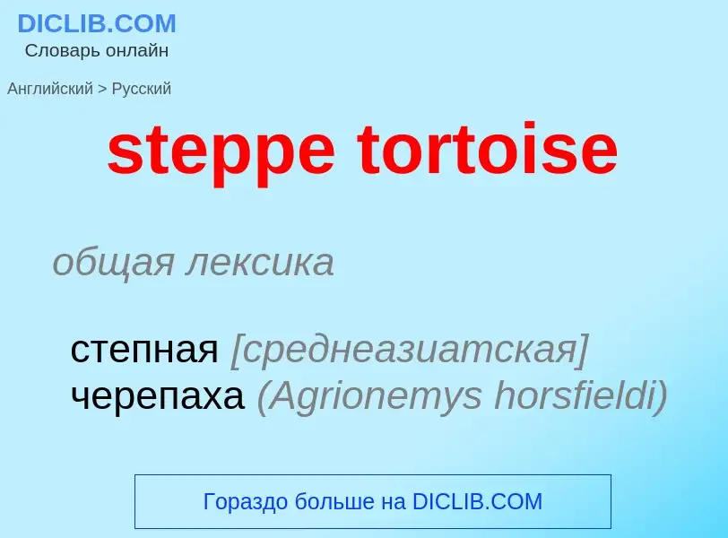 Как переводится steppe tortoise на Русский язык