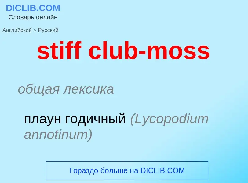 Как переводится stiff club-moss на Русский язык