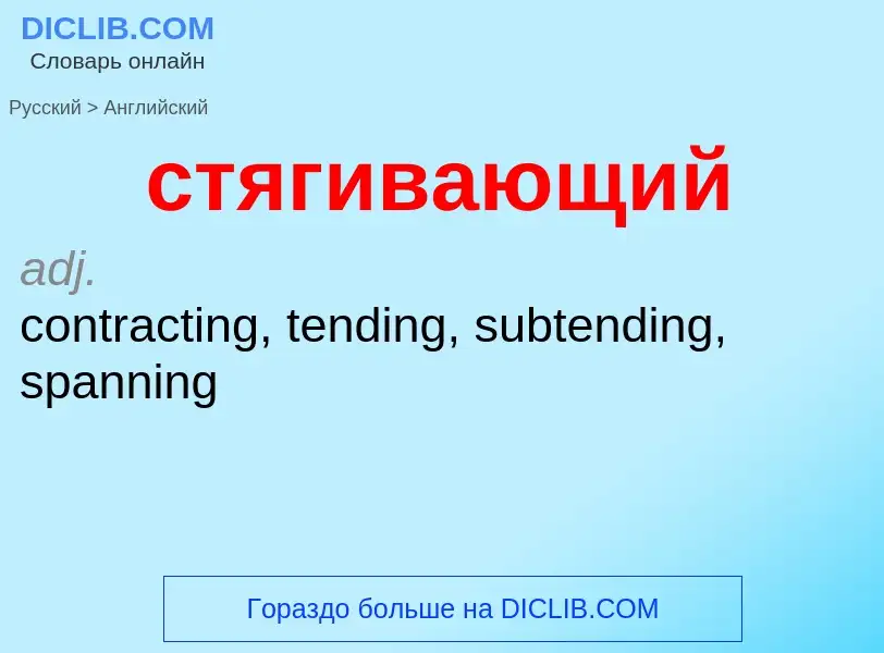 ¿Cómo se dice стягивающий en Inglés? Traducción de &#39стягивающий&#39 al Inglés