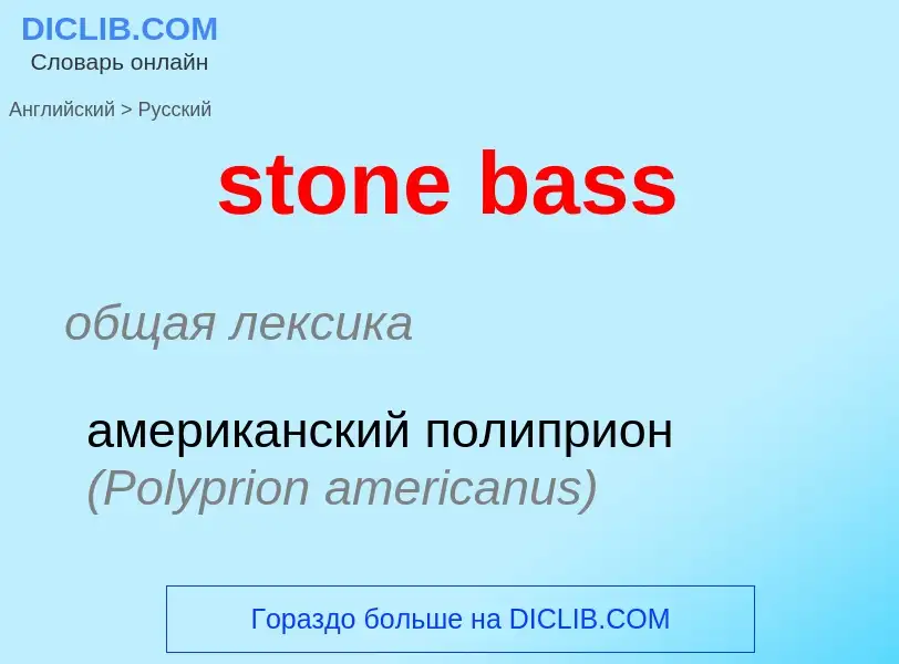 Как переводится stone bass на Русский язык