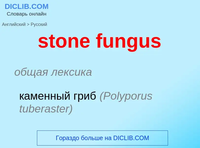 Μετάφραση του &#39stone fungus&#39 σε Ρωσικά