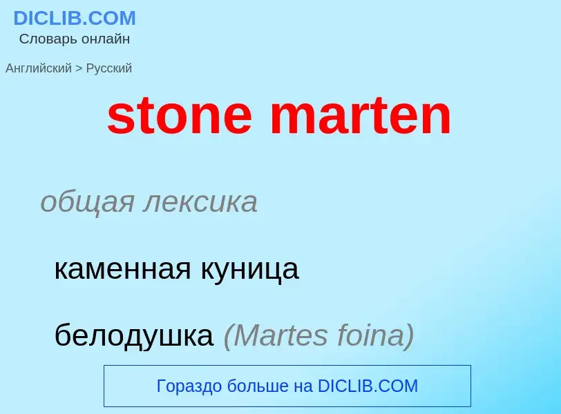 Как переводится stone marten на Русский язык