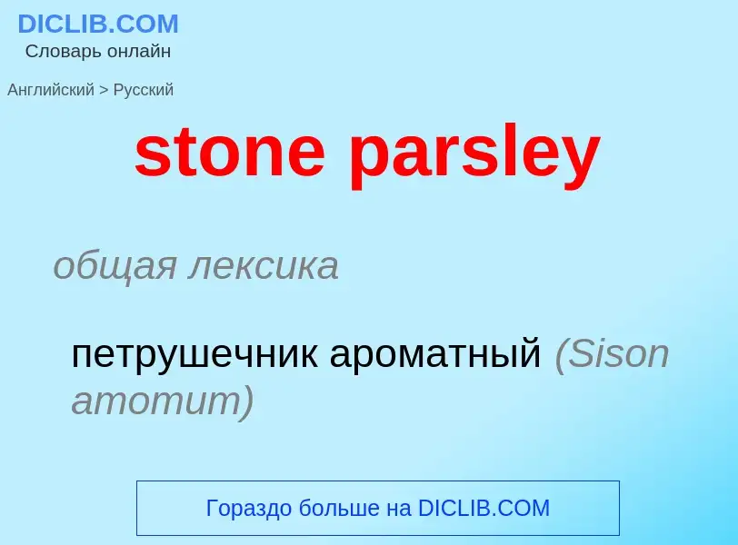 Как переводится stone parsley на Русский язык