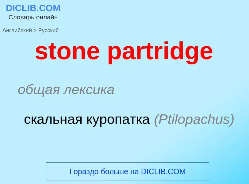 What is the Russian for stone partridge? Translation of &#39stone partridge&#39 to Russian