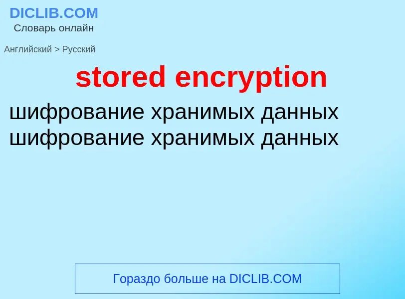 What is the Russian for stored encryption? Translation of &#39stored encryption&#39 to Russian