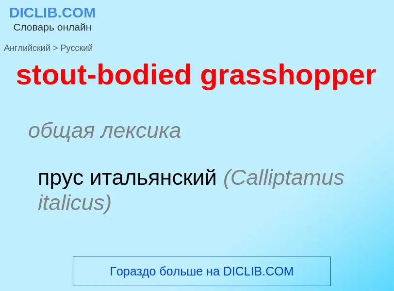 Как переводится stout-bodied grasshopper на Русский язык