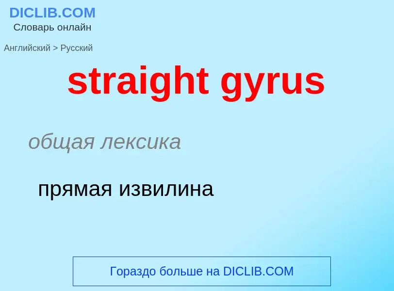 Μετάφραση του &#39straight gyrus&#39 σε Ρωσικά