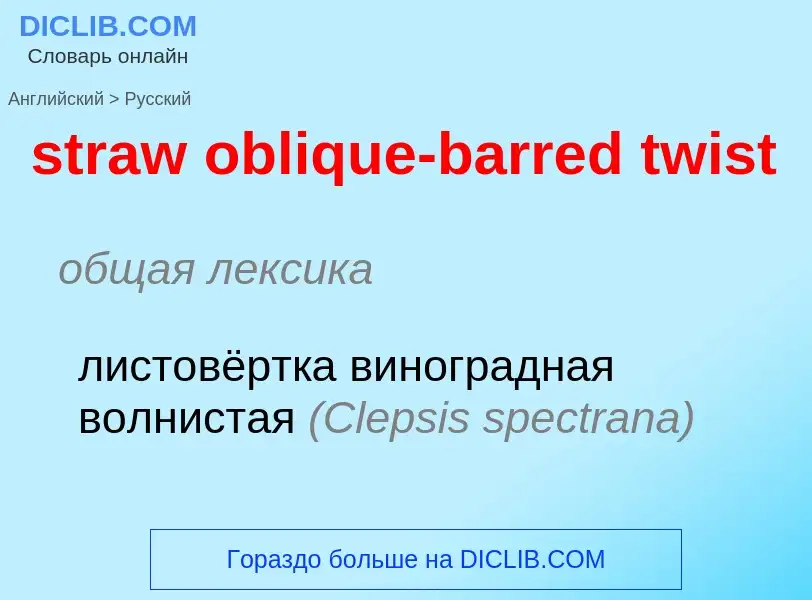 What is the Russian for straw oblique-barred twist? Translation of &#39straw oblique-barred twist&#3