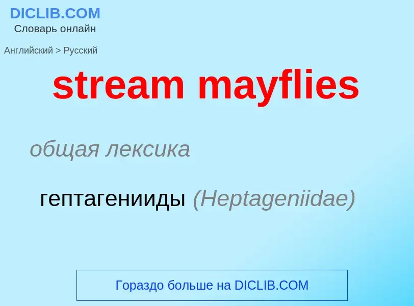 What is the الروسية for stream mayflies? Translation of &#39stream mayflies&#39 to الروسية