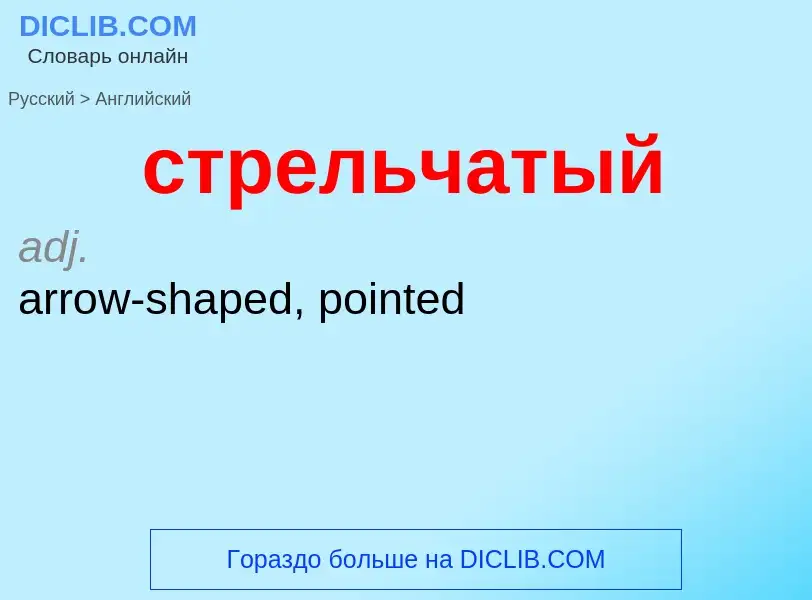 Como se diz стрельчатый em Inglês? Tradução de &#39стрельчатый&#39 em Inglês