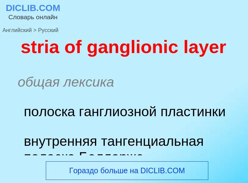 ¿Cómo se dice stria of ganglionic layer en Ruso? Traducción de &#39stria of ganglionic layer&#39 al 