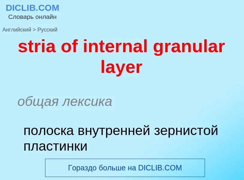 ¿Cómo se dice stria of internal granular layer en Ruso? Traducción de &#39stria of internal granular