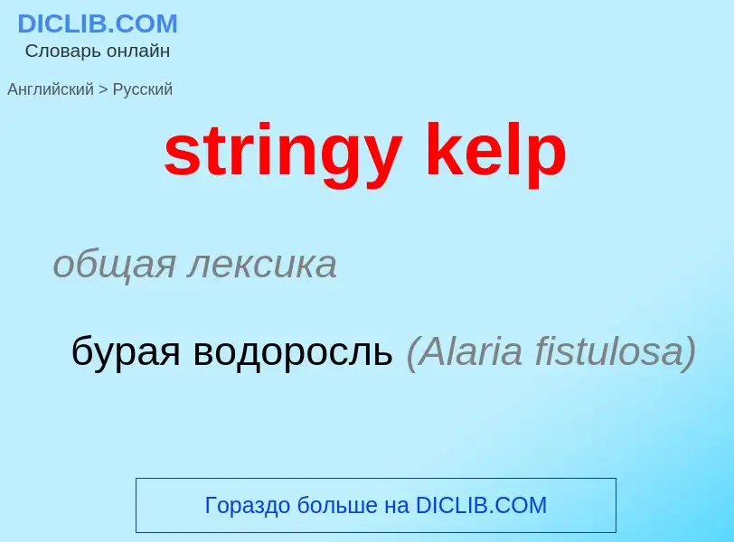 ¿Cómo se dice stringy kelp en Ruso? Traducción de &#39stringy kelp&#39 al Ruso