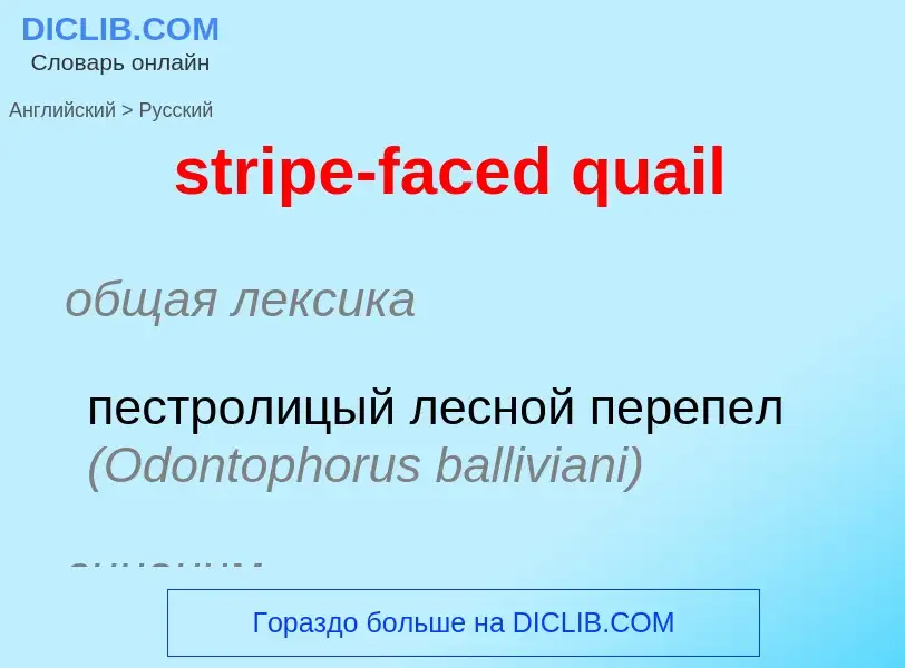 Μετάφραση του &#39stripe-faced quail&#39 σε Ρωσικά