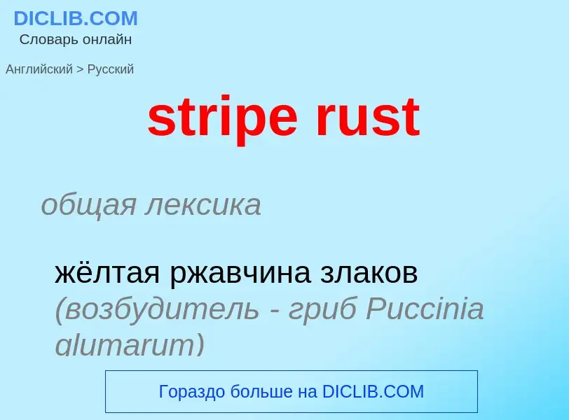 Как переводится stripe rust на Русский язык