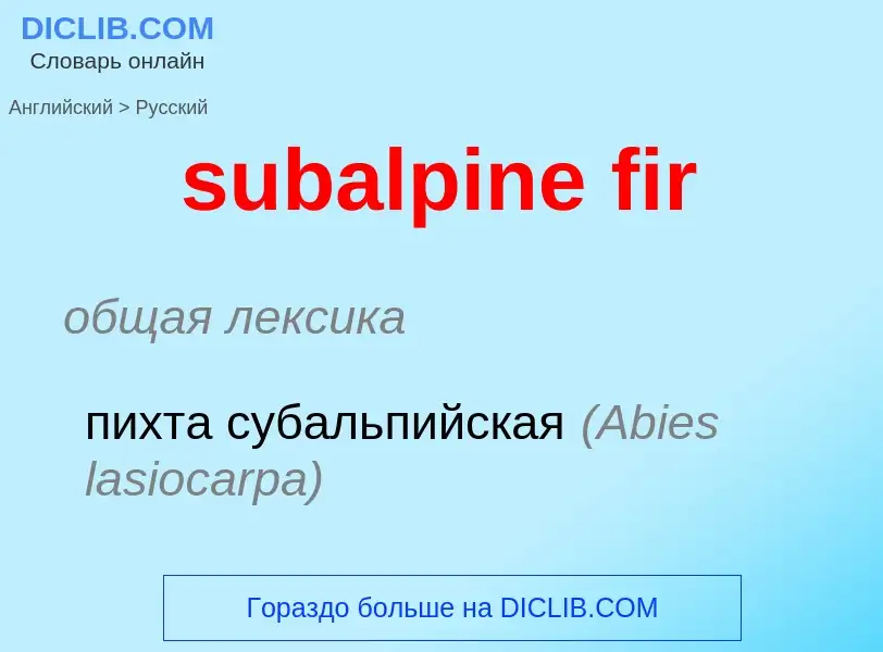 Como se diz subalpine fir em Russo? Tradução de &#39subalpine fir&#39 em Russo