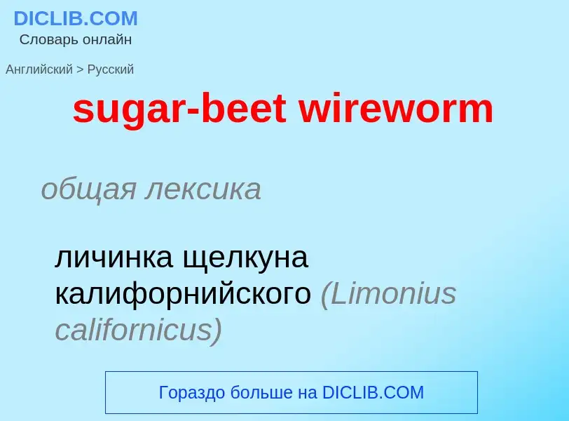 Vertaling van &#39sugar-beet wireworm&#39 naar Russisch