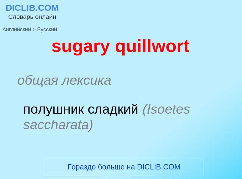 Como se diz sugary quillwort em Russo? Tradução de &#39sugary quillwort&#39 em Russo