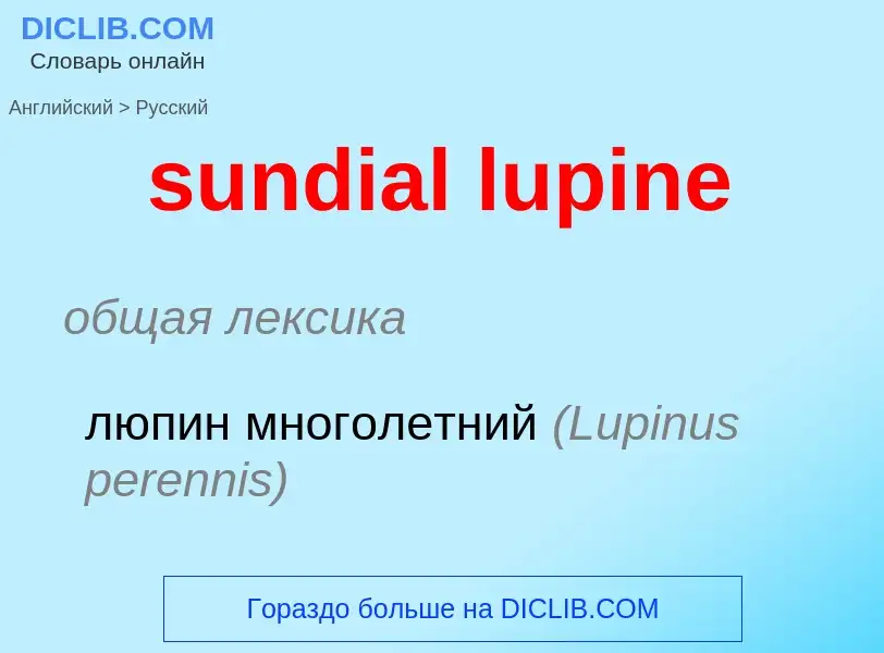 Μετάφραση του &#39sundial lupine&#39 σε Ρωσικά