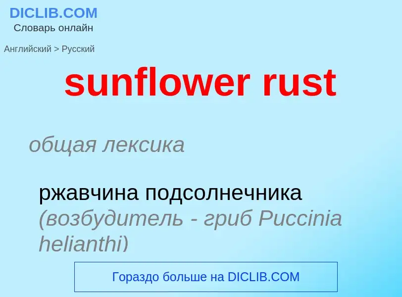 Μετάφραση του &#39sunflower rust&#39 σε Ρωσικά