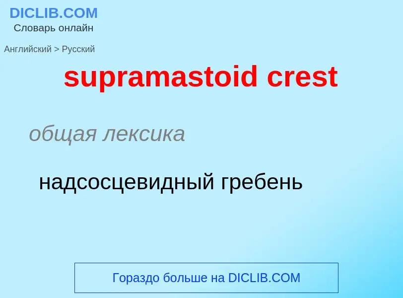 Как переводится supramastoid crest на Русский язык