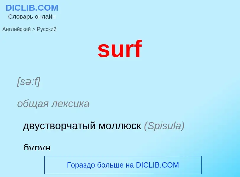 What is the Russian for surf? Translation of &#39surf&#39 to Russian