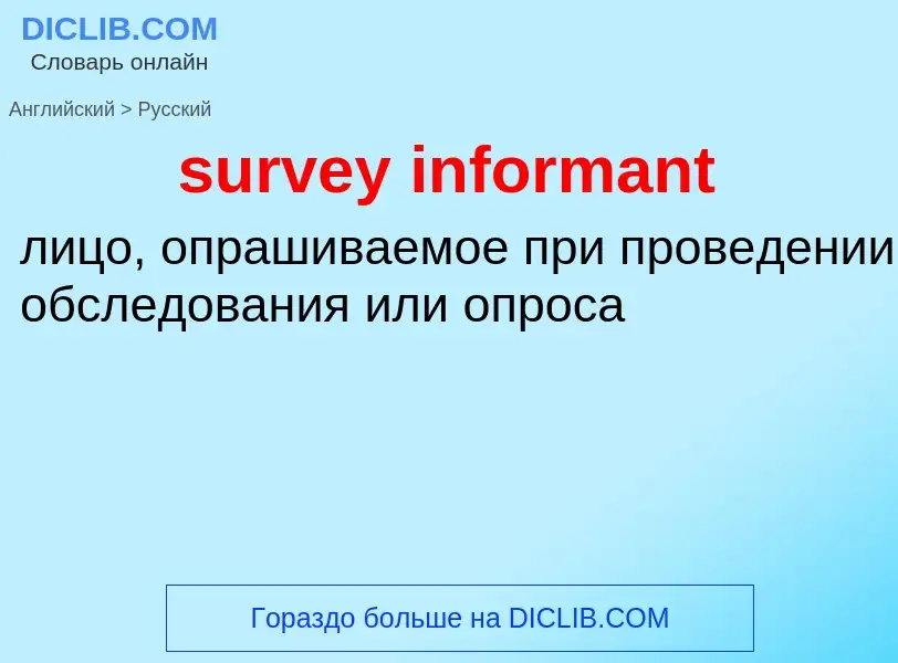 Как переводится survey informant на Русский язык