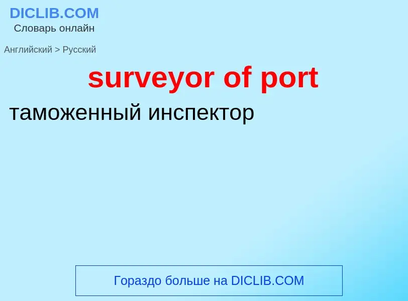 Как переводится surveyor of port на Русский язык