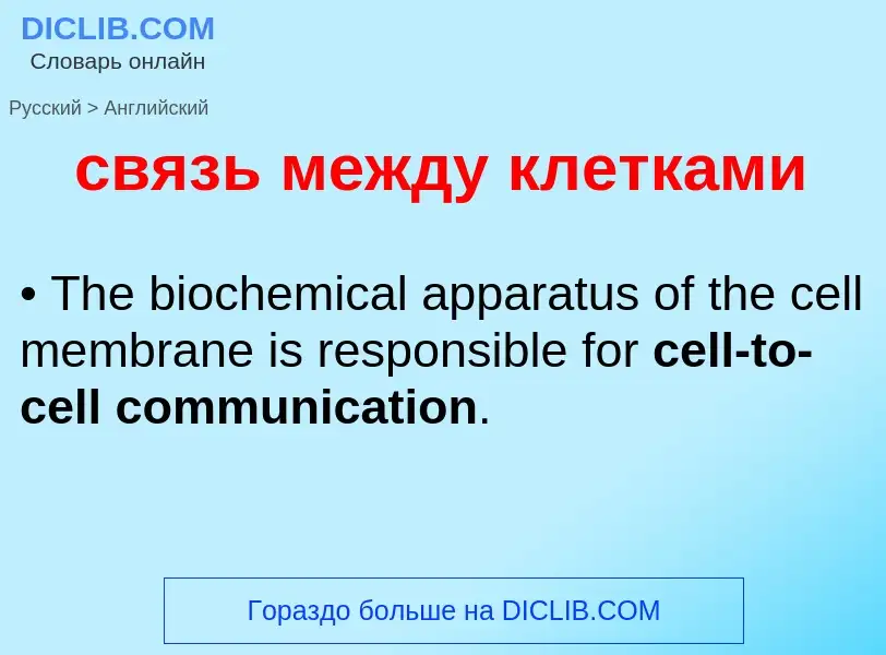 ¿Cómo se dice связь между клетками en Inglés? Traducción de &#39связь между клетками&#39 al Inglés