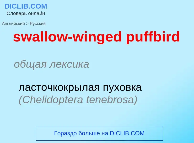 What is the الروسية for swallow-winged puffbird? Translation of &#39swallow-winged puffbird&#39 to ا