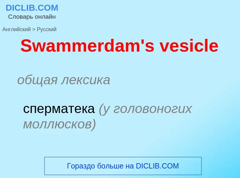 ¿Cómo se dice Swammerdam's vesicle en Ruso? Traducción de &#39Swammerdam's vesicle&#39 al Ruso