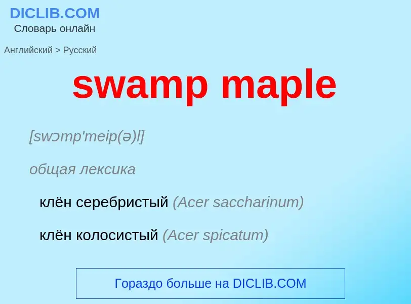 What is the Russian for swamp maple? Translation of &#39swamp maple&#39 to Russian