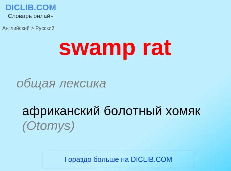 ¿Cómo se dice swamp rat en Ruso? Traducción de &#39swamp rat&#39 al Ruso