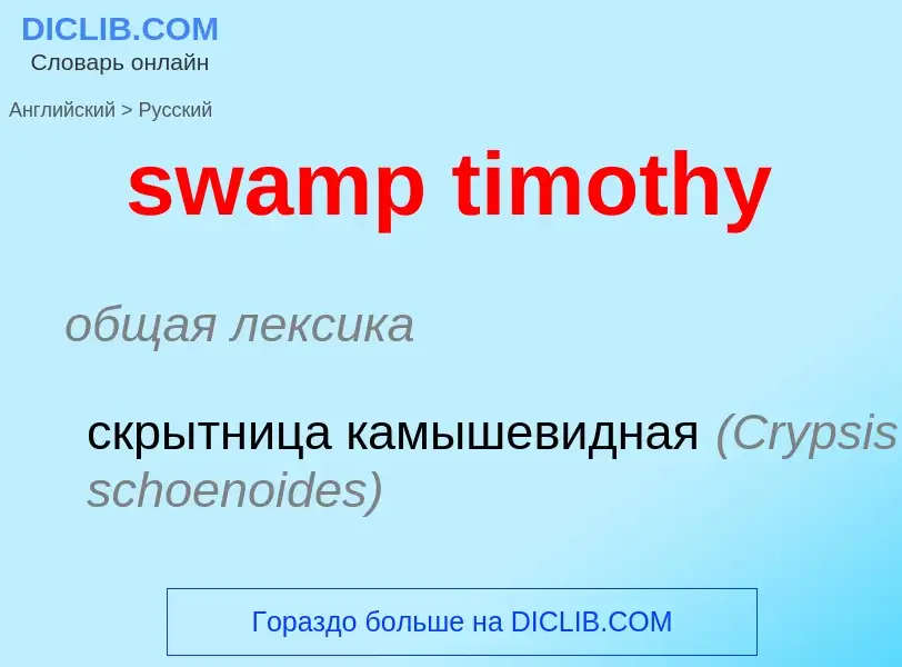 ¿Cómo se dice swamp timothy en Ruso? Traducción de &#39swamp timothy&#39 al Ruso