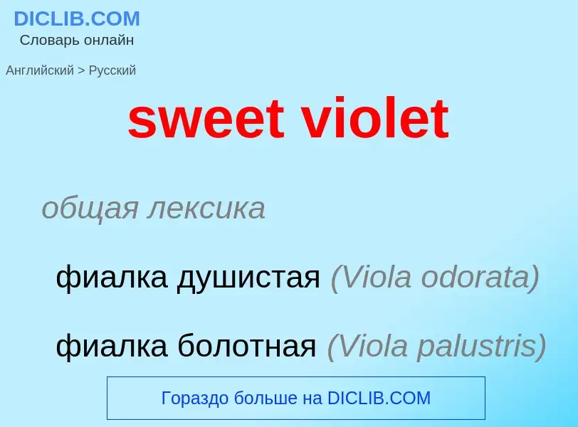 ¿Cómo se dice sweet violet en Ruso? Traducción de &#39sweet violet&#39 al Ruso