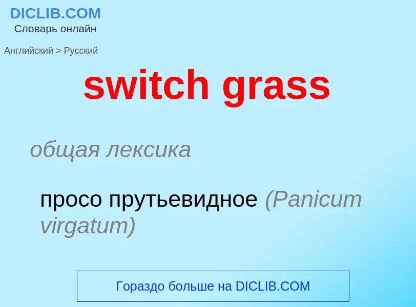 Como se diz switch grass em Russo? Tradução de &#39switch grass&#39 em Russo