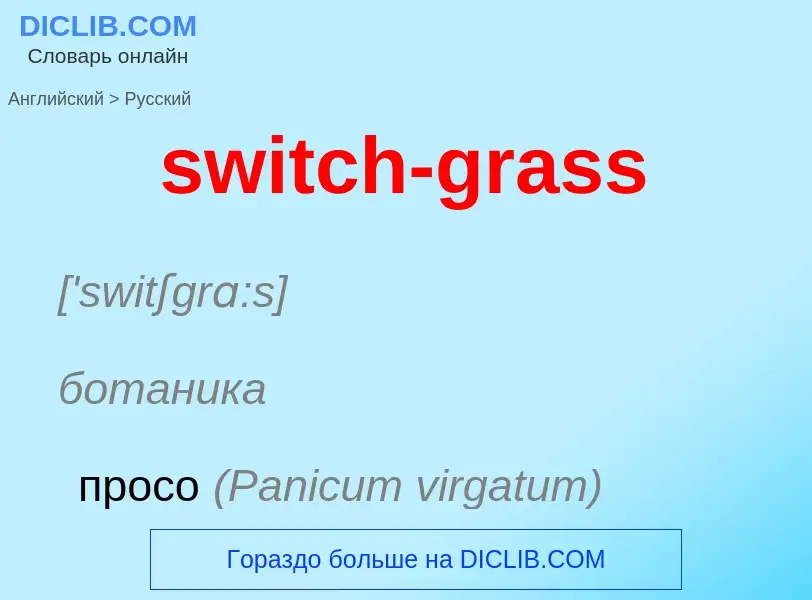 Como se diz switch-grass em Russo? Tradução de &#39switch-grass&#39 em Russo