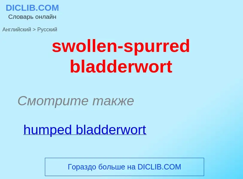 Como se diz swollen-spurred bladderwort em Russo? Tradução de &#39swollen-spurred bladderwort&#39 em