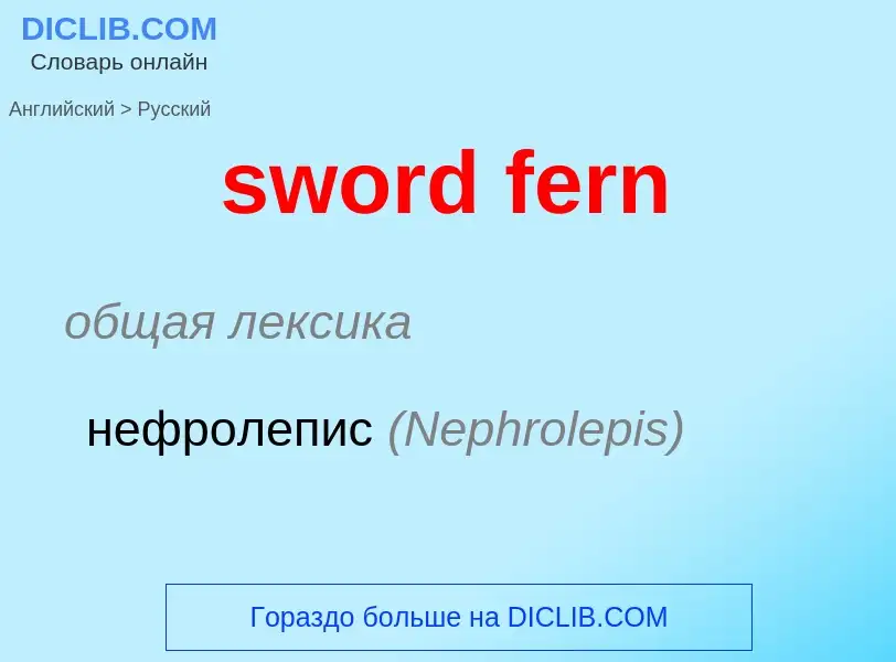 Como se diz sword fern em Russo? Tradução de &#39sword fern&#39 em Russo