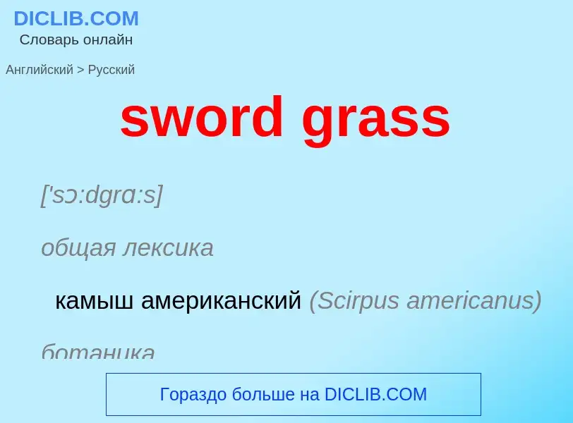 Como se diz sword grass em Russo? Tradução de &#39sword grass&#39 em Russo