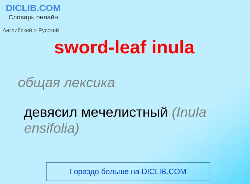 Como se diz sword-leaf inula em Russo? Tradução de &#39sword-leaf inula&#39 em Russo