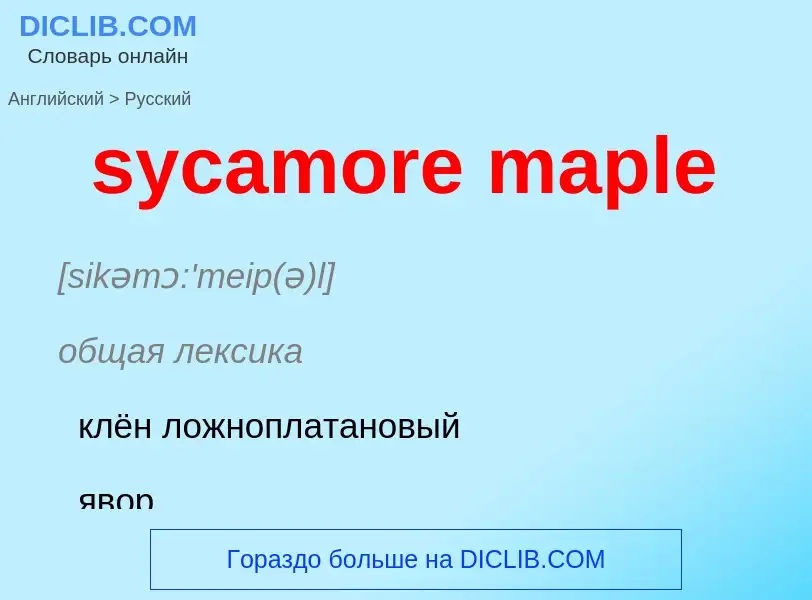 Como se diz sycamore maple em Russo? Tradução de &#39sycamore maple&#39 em Russo