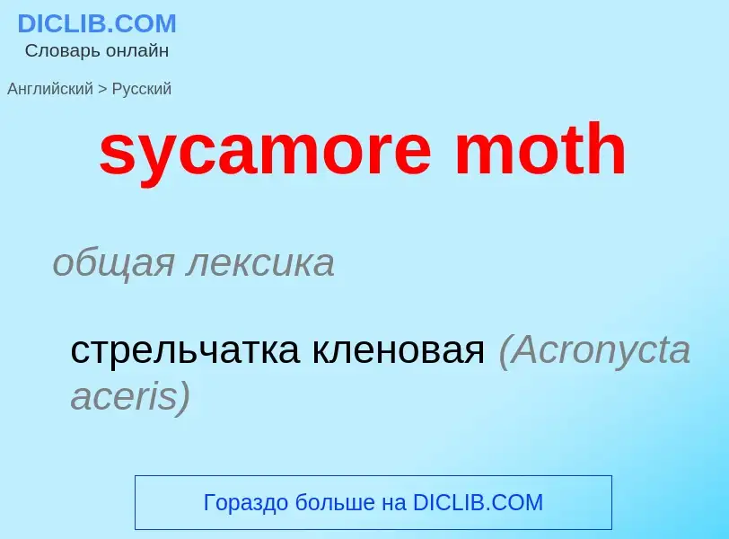 Como se diz sycamore moth em Russo? Tradução de &#39sycamore moth&#39 em Russo