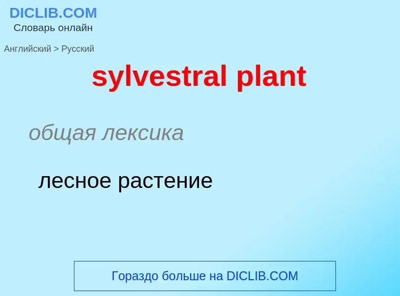 Como se diz sylvestral plant em Russo? Tradução de &#39sylvestral plant&#39 em Russo