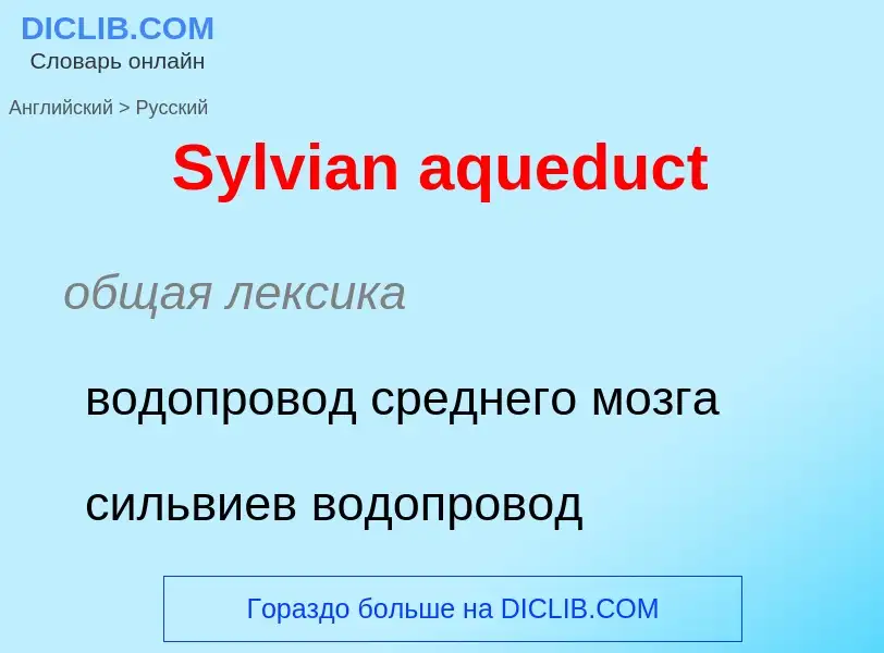 Como se diz Sylvian aqueduct em Russo? Tradução de &#39Sylvian aqueduct&#39 em Russo