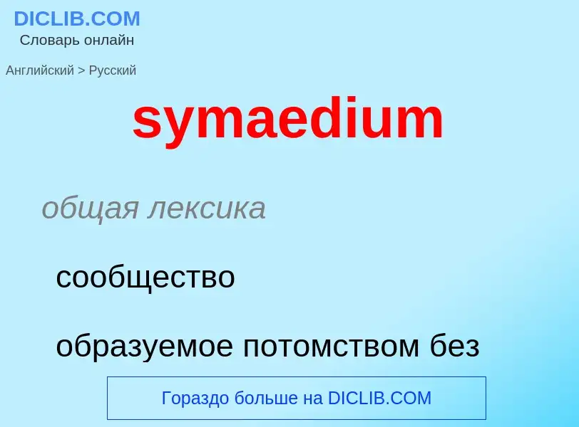 Como se diz symaedium em Russo? Tradução de &#39symaedium&#39 em Russo