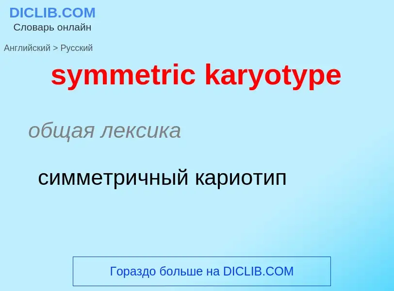 Como se diz symmetric karyotype em Russo? Tradução de &#39symmetric karyotype&#39 em Russo