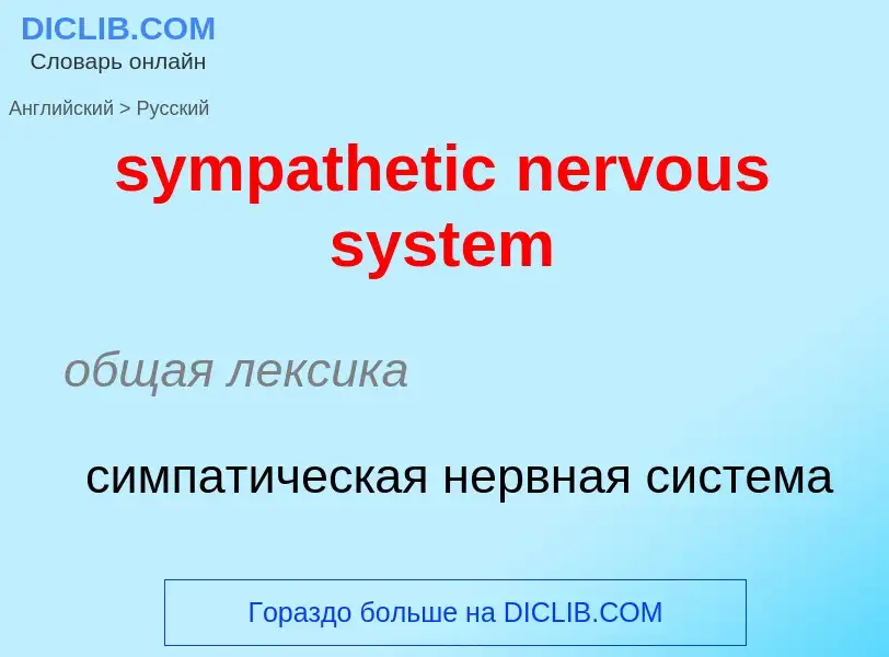 Como se diz sympathetic nervous system em Russo? Tradução de &#39sympathetic nervous system&#39 em R