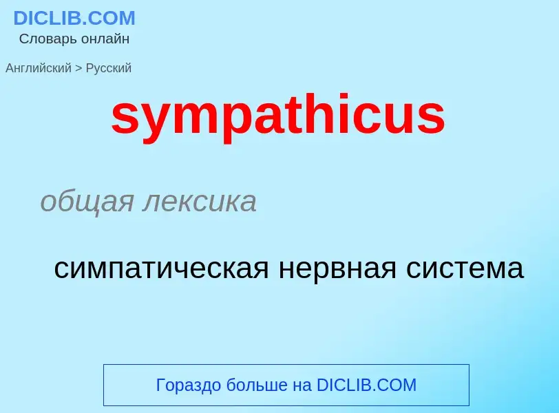 Como se diz sympathicus em Russo? Tradução de &#39sympathicus&#39 em Russo