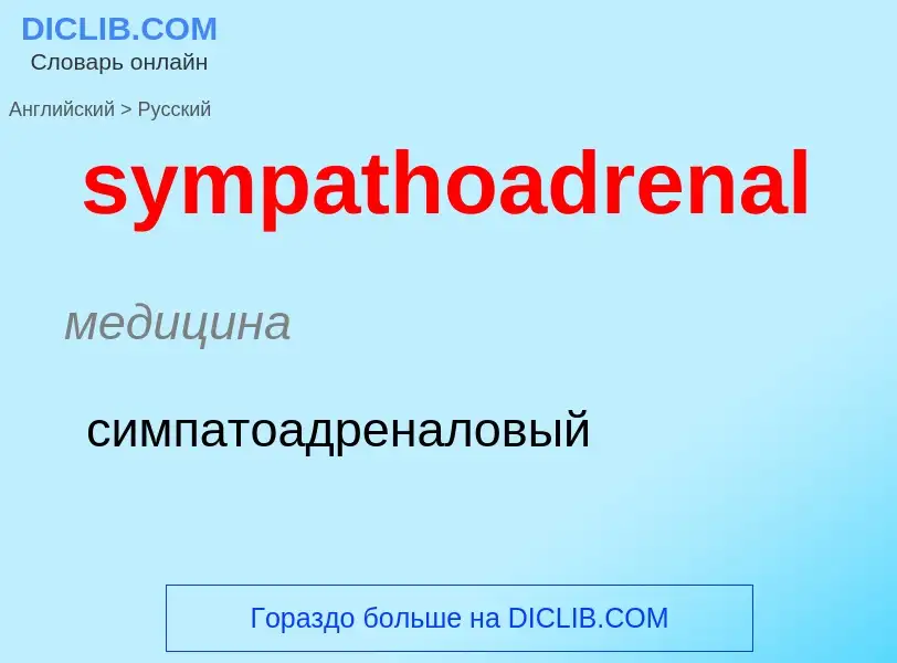 Como se diz sympathoadrenal em Russo? Tradução de &#39sympathoadrenal&#39 em Russo